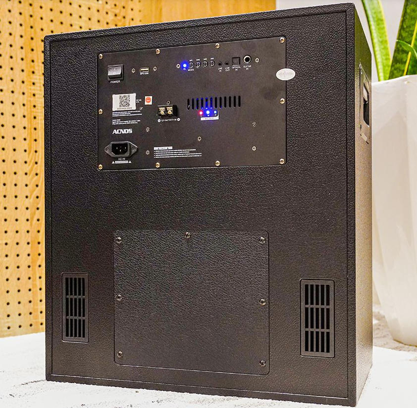 Mặt sau loa Acnos CS550SR