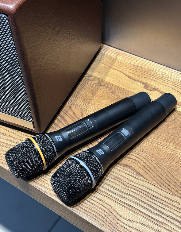 Loa Karaoke Komi KM 568