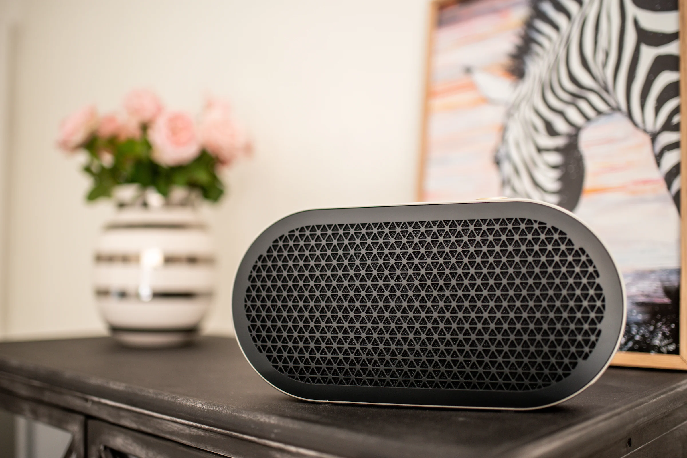 loa-bluetooth-dali-katch-g2-chinh-hang-7